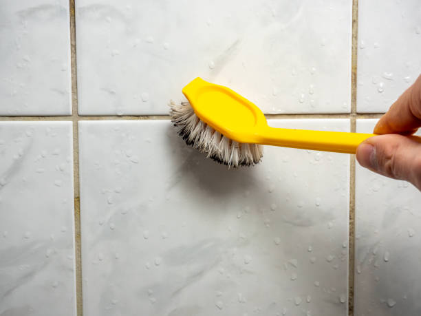 Best Home Mold Removal  in Sho Creek, AL