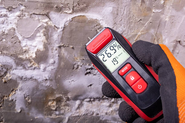 Best Crawl Space Mold Removal  in Sho Creek, AL